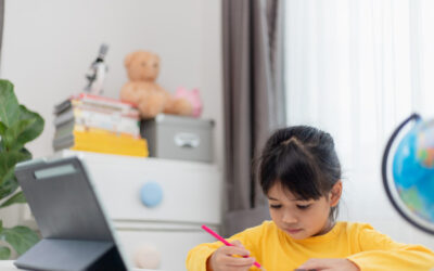 Enhancing Effective Learning at Home: A Student’s Guide